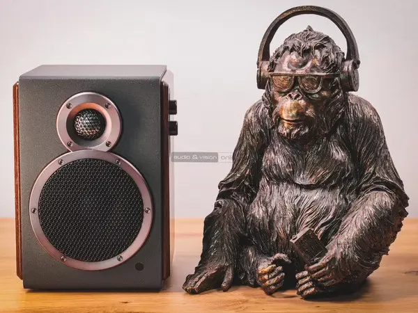 FiiO SA1 aktív hangfal FiiO SA1 aktív hangfal