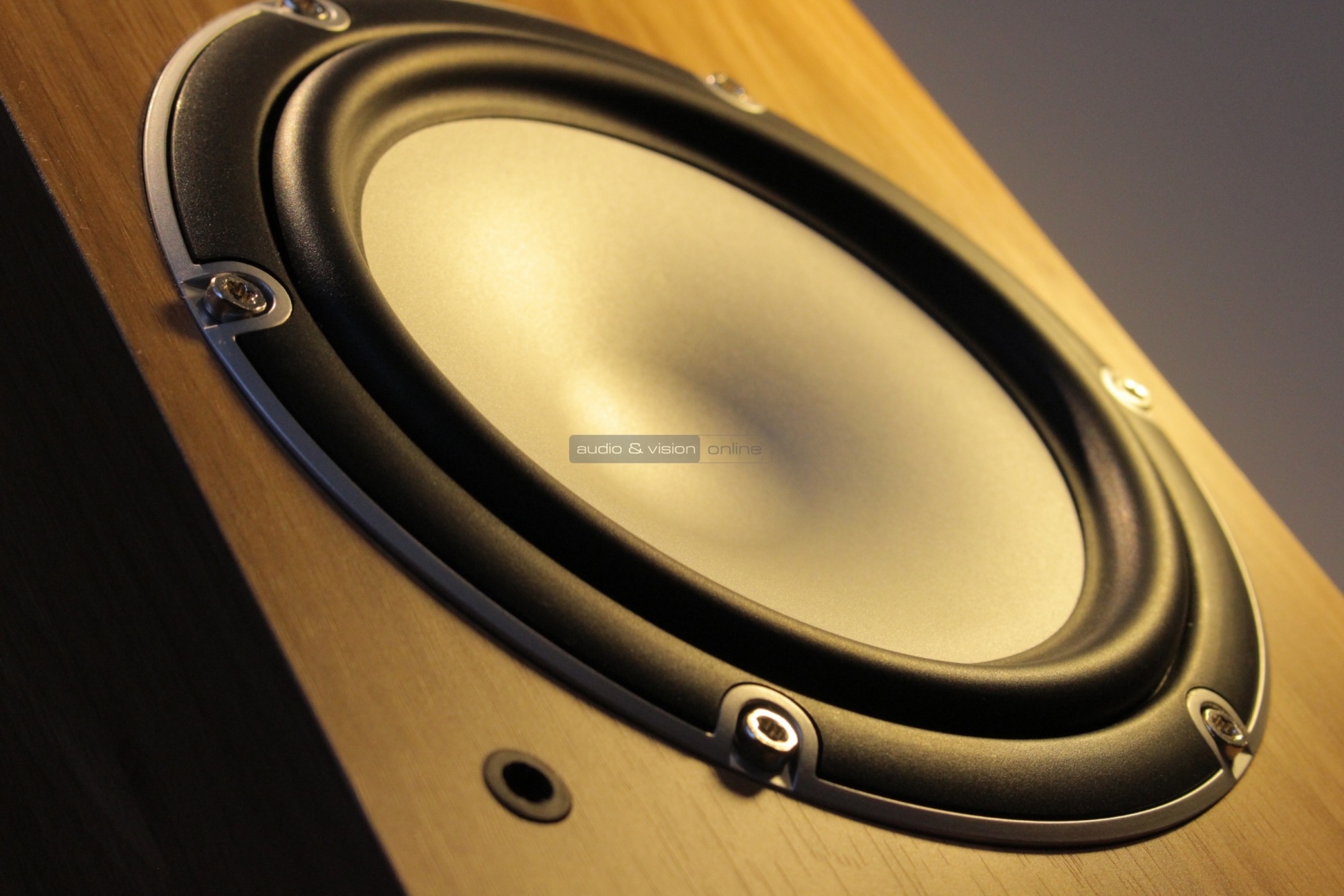 Tannoy mercury cheap 7.2 test